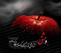 بدون توضيح